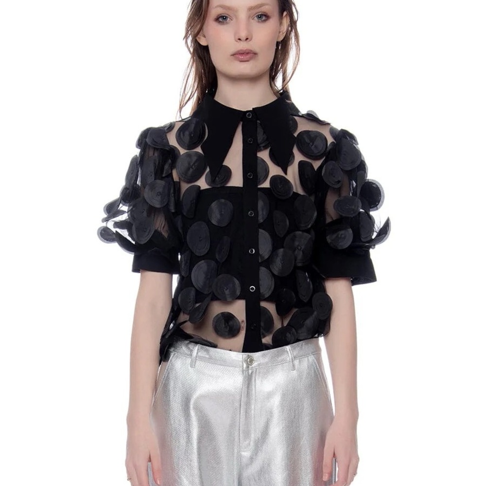 Black Sheer Button-Up Top